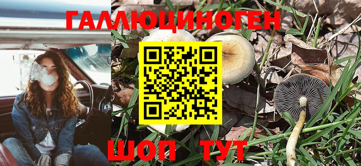 Псилоцибиновые грибы Magic Shrooms Советская Гавань