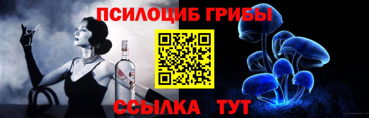 где найти   Галлюциногенные грибы прущие грибы  Вход с VPN  Псилоцибиновые грибы Magic Shrooms  Советская Гавань 